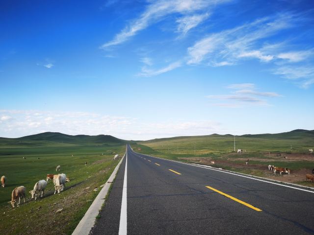 克什克腾旗草原旅行图片 2