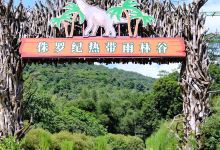 星罗纪大森林景区(广州二龙山花园)景点图片