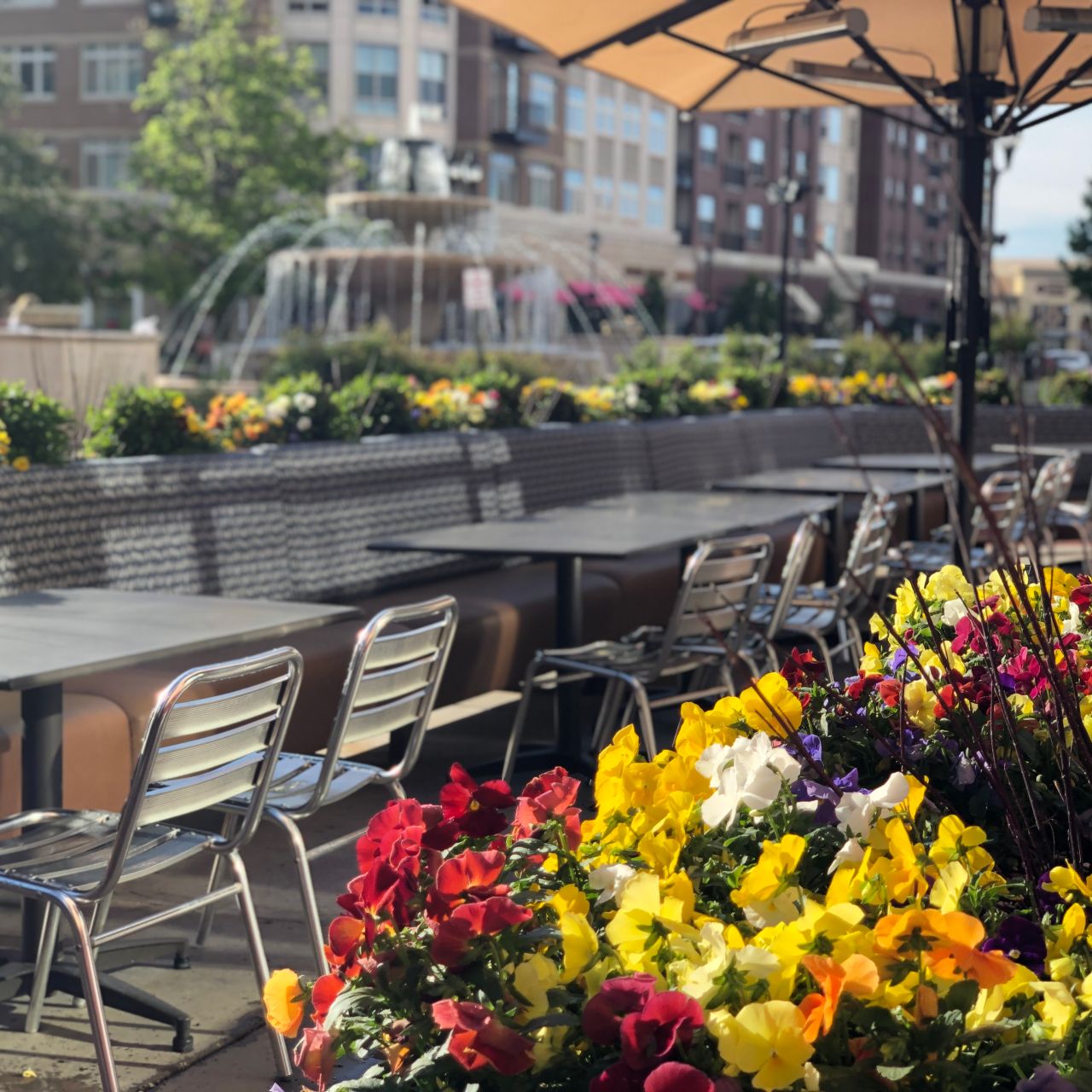 Indulge Bistro & Wine Bar餐厅图片