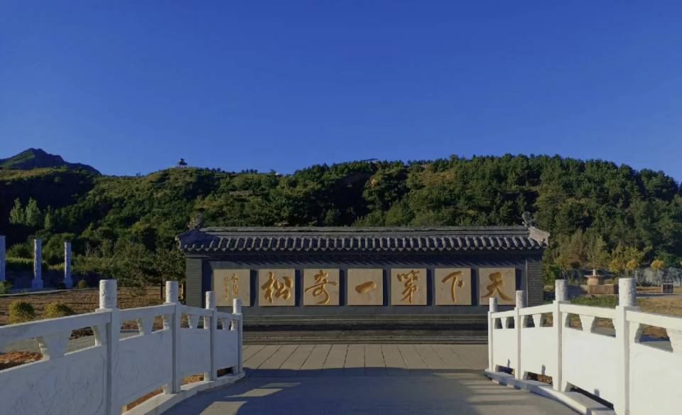 九龙松 · 承德市 · AA级景点