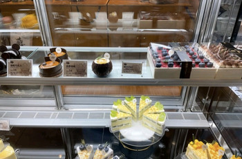Gallery 2