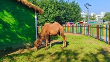 星河欢乐田园-永靖