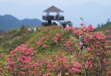 大围山国家森林公园-浏阳