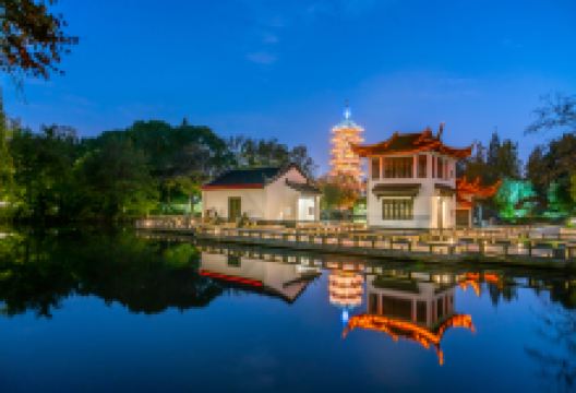 红梅公园景点图片