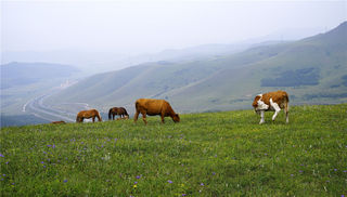 走进如梦如幻的原始画卷