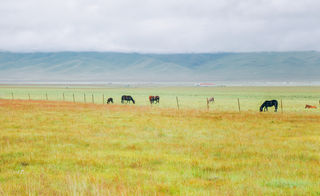 4天3晚，若尔盖深度游攻略
