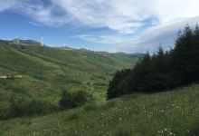 石龙山国家森林公园景点图片