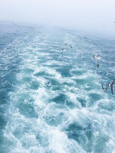 大长山岛-长海-YoYo_2K1A6B7R