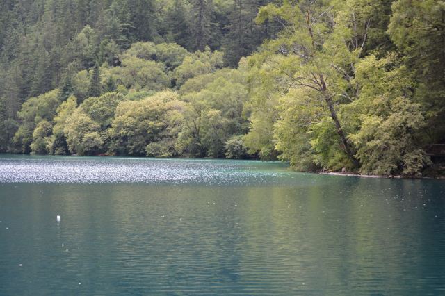 箭竹海下车点旅行图片 1