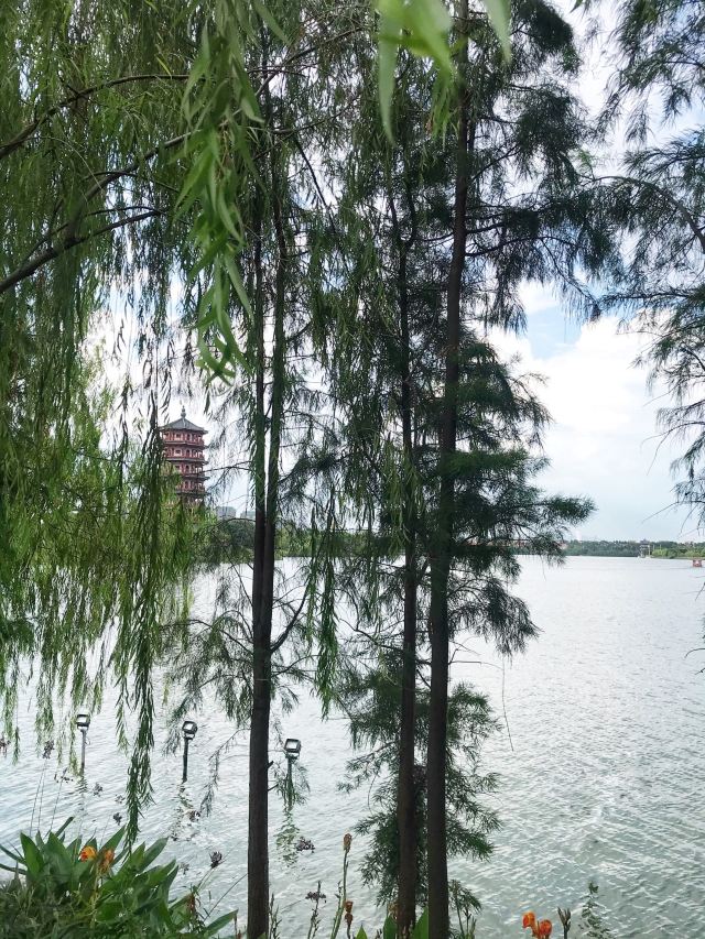 华阳湖国家湿地公园旅行图片 4