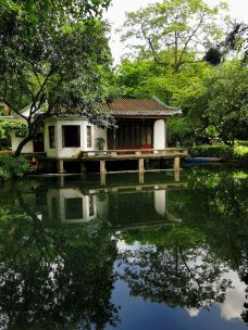 广州兰圃-广州-山城黛西