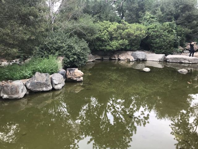 双秀公园旅行图片 11