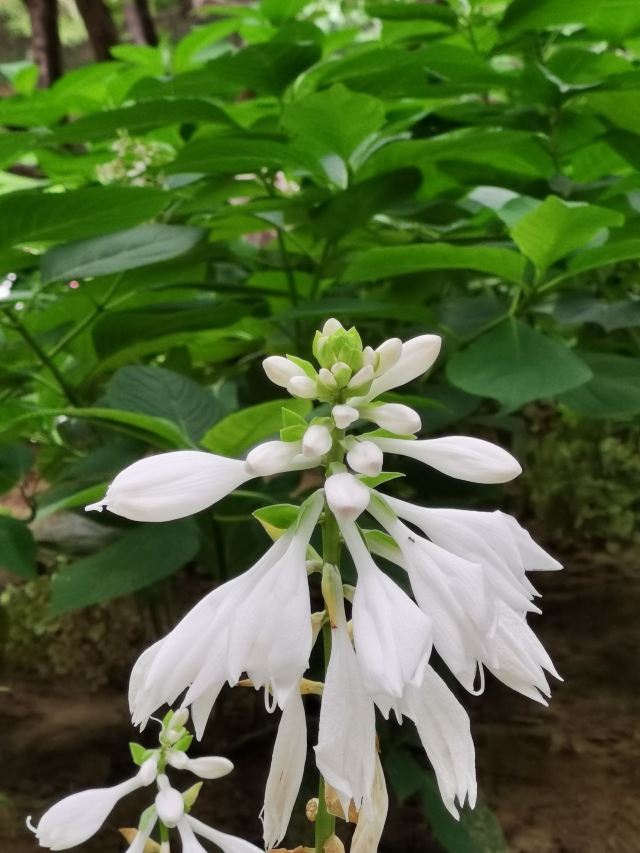 金中都城墙遗址公园旅行图片 5