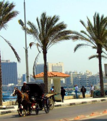 亚历山大游记图文-埃及旅游：自驾地中海畔亚历山大（图）