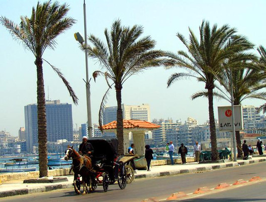埃及旅游：自驾地中海畔亚历山大（图）
