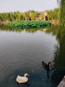 曲水亭街-济南-ke80keke80ke