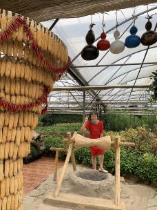 金丰农科园-廊坊-琪琪779