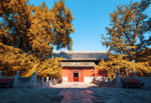 大觉寺景点图片