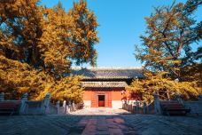大觉寺-北京