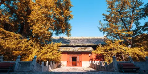大覺寺