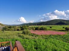 杜鹃湖-阿尔山-YoYo_3G8K7A6A