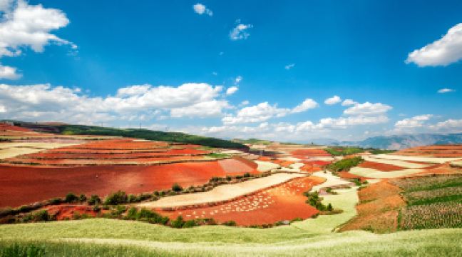 东川红土地