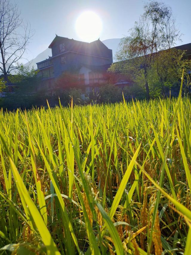 梵净山公园旅行图片 3