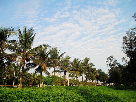 海口沿途美景,美食行亲子攻略