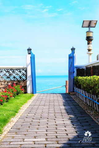 2020夏日海岛全攻略---花鸟岛