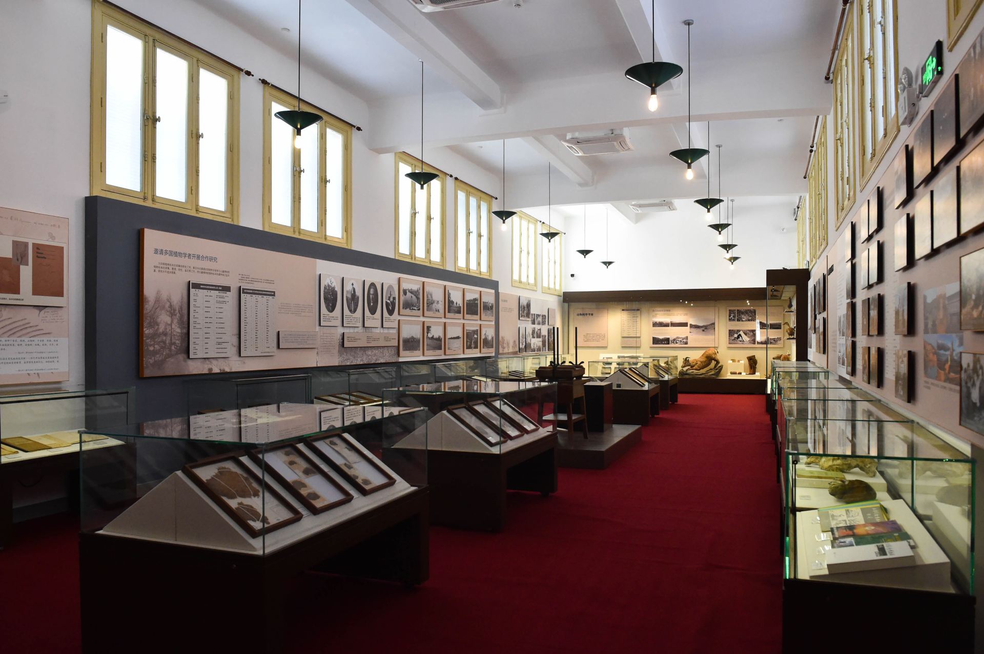 Gallery 1