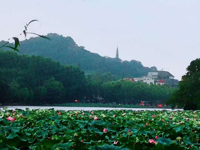 西湖娱乐城- 西湖娱乐城官方网站- 西湖娱乐城APP【五险一金】南昌市西湖城市建设投资发展集团有限公司招聘简章