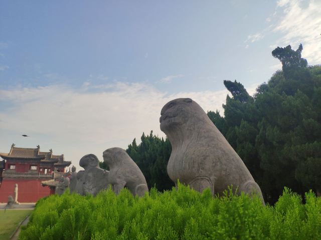 宋陵公园旅行图片 5