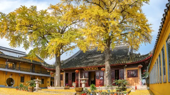 焦山風景區-定慧寺