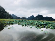 普者黑湖-丘北-遐遐jwx