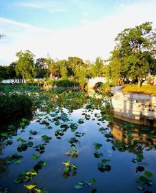 荷花亭-惠州-世界美食游走达人