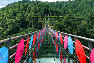 双节打卡九龙江,限时98元一票畅玩!