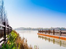潘安湖国家湿地公园-徐州-C-IMAGE