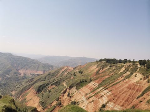 带你逛逛山野小景换换口味