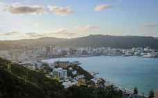 维多利亚山-惠灵顿-hiluoling