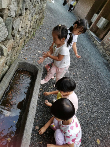 四個4歲娃娃的第一次親子團建，撿栗子，爬長城——懷柔慕田峪。