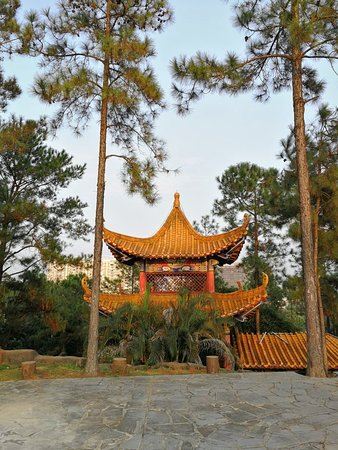仙岛公园旅行图片 1