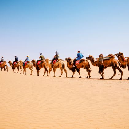 宁夏银川+中卫+崆峒山+麦积山石窟+陇南+官鹅沟大景区+扎尕那+黄河九曲第一湾+兰州+刘家峡+炳灵寺石窟12日11晚私家团