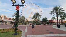 ICON Park-橙县-YoYo_4D5J3P8H