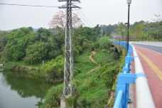 天鹿湖森林公园-广州-程途镜遇