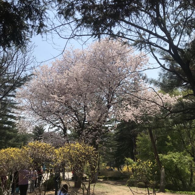 丹东锦江山公园攻略 丹东锦江山公园门票 攻略 地址 图片 门票价格 携程攻略 丹东锦江山公园攻略 丹东锦江山公园门票 攻略 地址 图片 门票价格 携程攻略