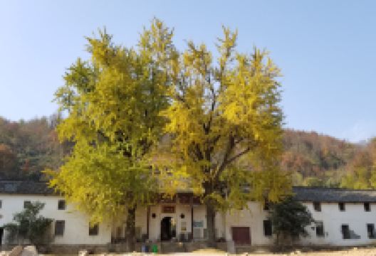 大龙山乌龙溪景区景点图片