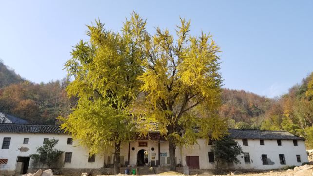 大龙山乌龙溪景区