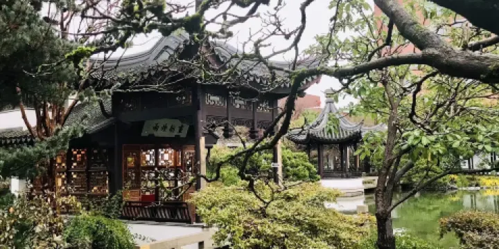 National Bonsai & Penjing Museum