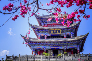 双廊镇游记图文-全都是干货！云南大理丽江7天自驾游攻略