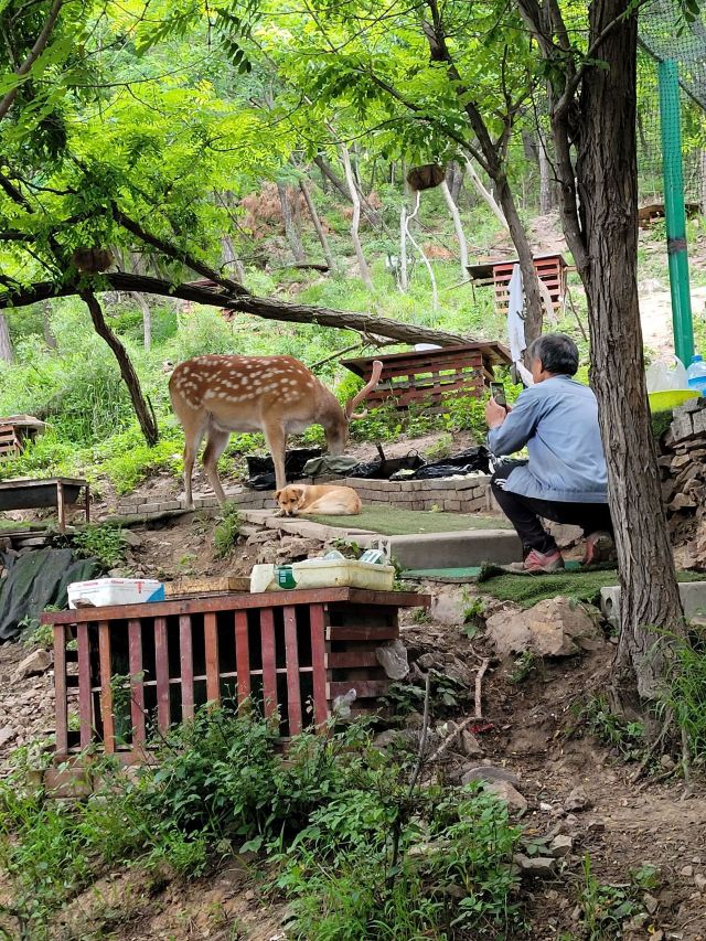 白云山山体公园旅行图片 3